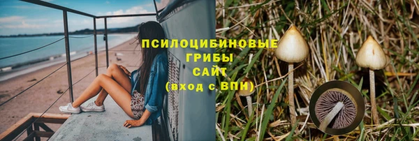 apvp Абаза