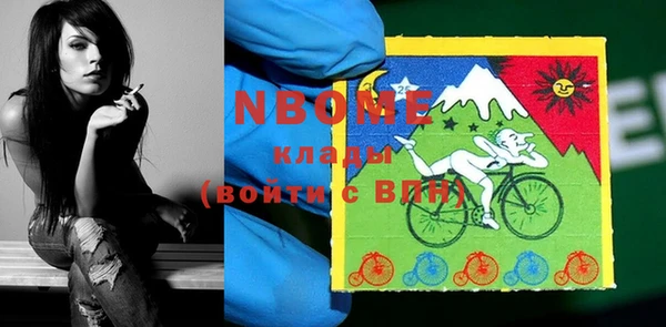 крисы Коряжма