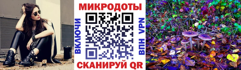 Псилоцибиновые грибы Magic Shrooms  продажа наркотиков  Стрежевой 