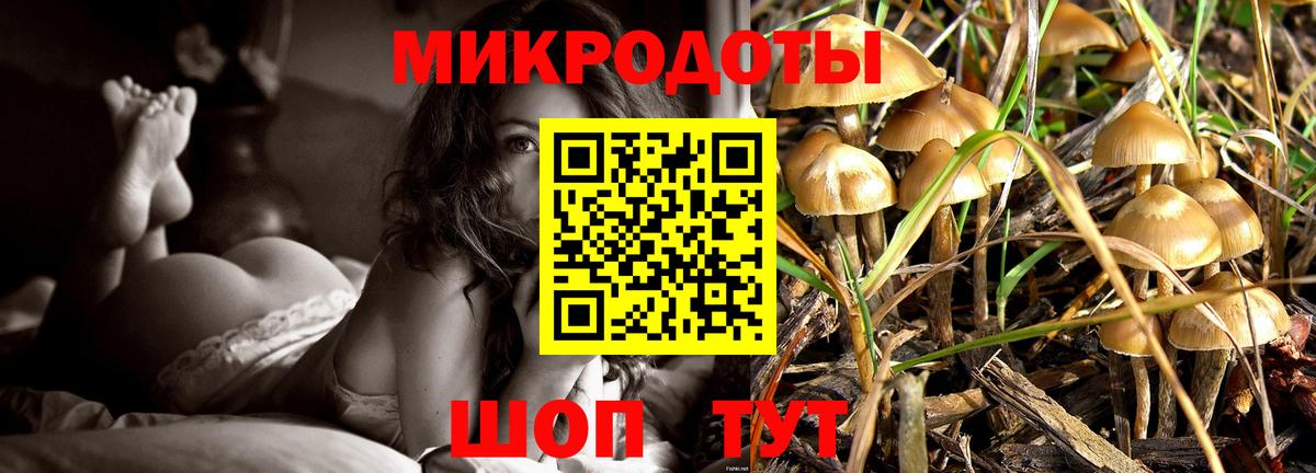 Псилоцибиновые грибы Psilocybine cubensis Стрежевой