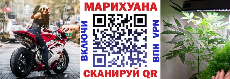 Бошки марихуана OG Kush  хочу   Стрежевой 